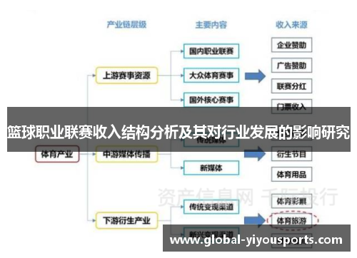 篮球职业联赛收入结构分析及其对行业发展的影响研究